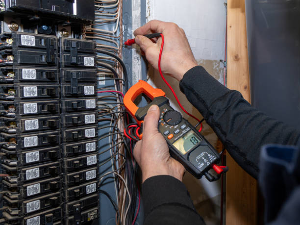 Best Ceiling Fan Installation Electrician  in Serenada, TX